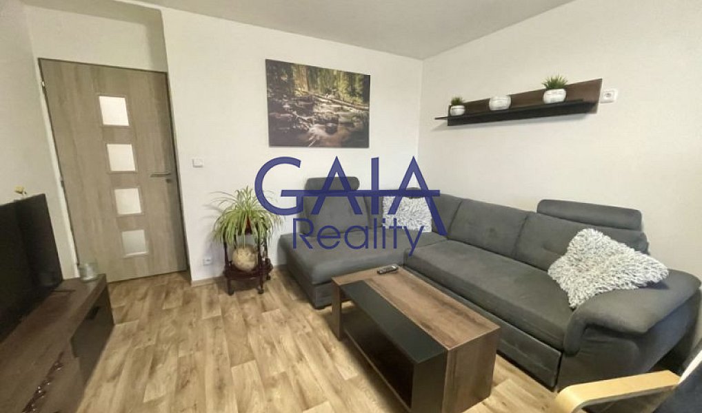 Prodej bytu 3+1 64 m², Strážovice – náhled fotky 9