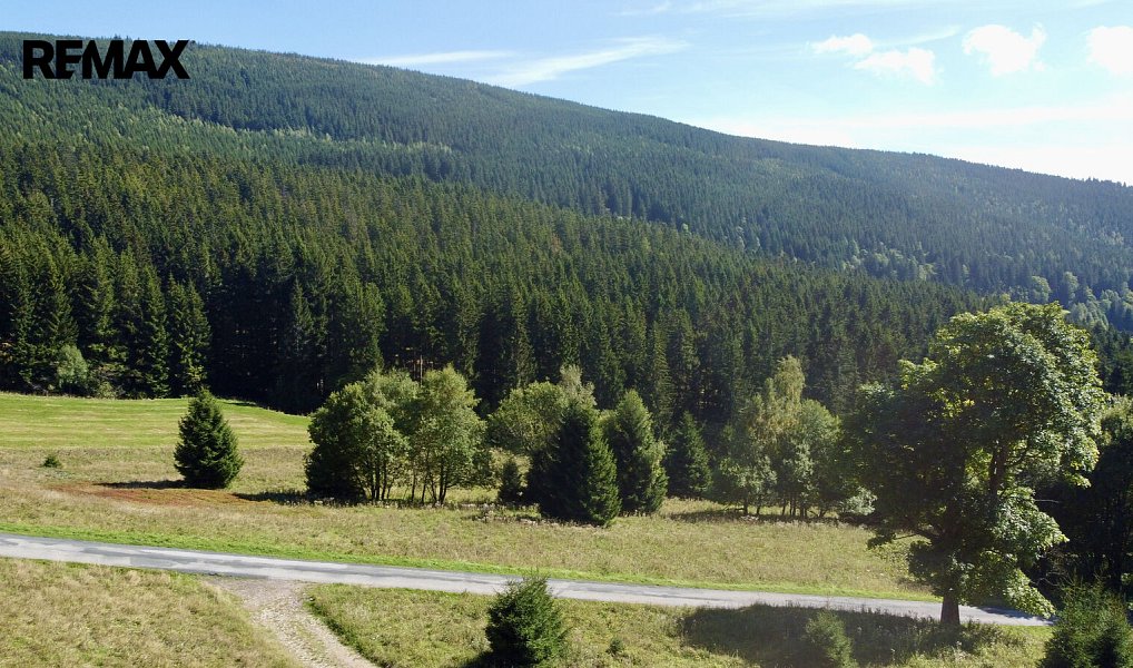 Prodej louky 28 918 m², Malá Úpa – náhled fotky 9