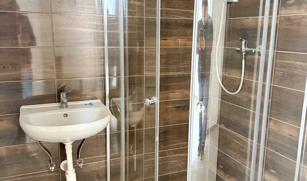 Prodej nájemního domu, činžáku 397 m², Heřmanova Huť – náhled fotky 7