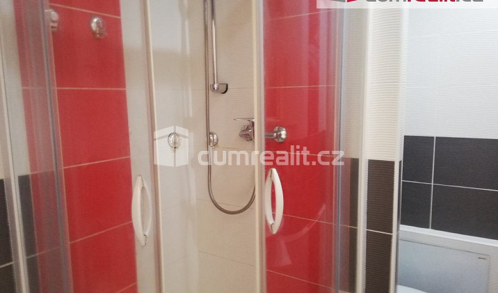 Pronájem bytu 1+1 39 m², Plzeň – náhled fotky 8