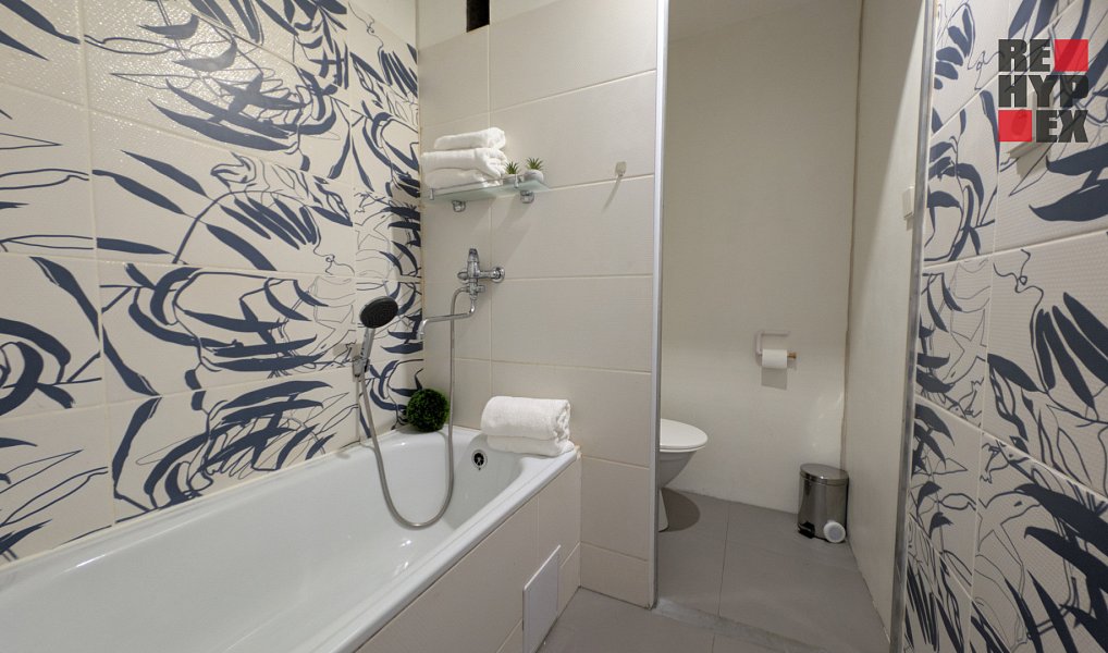 Prodej bytu 1+1 36 m², Nový Bor – náhled fotky 3