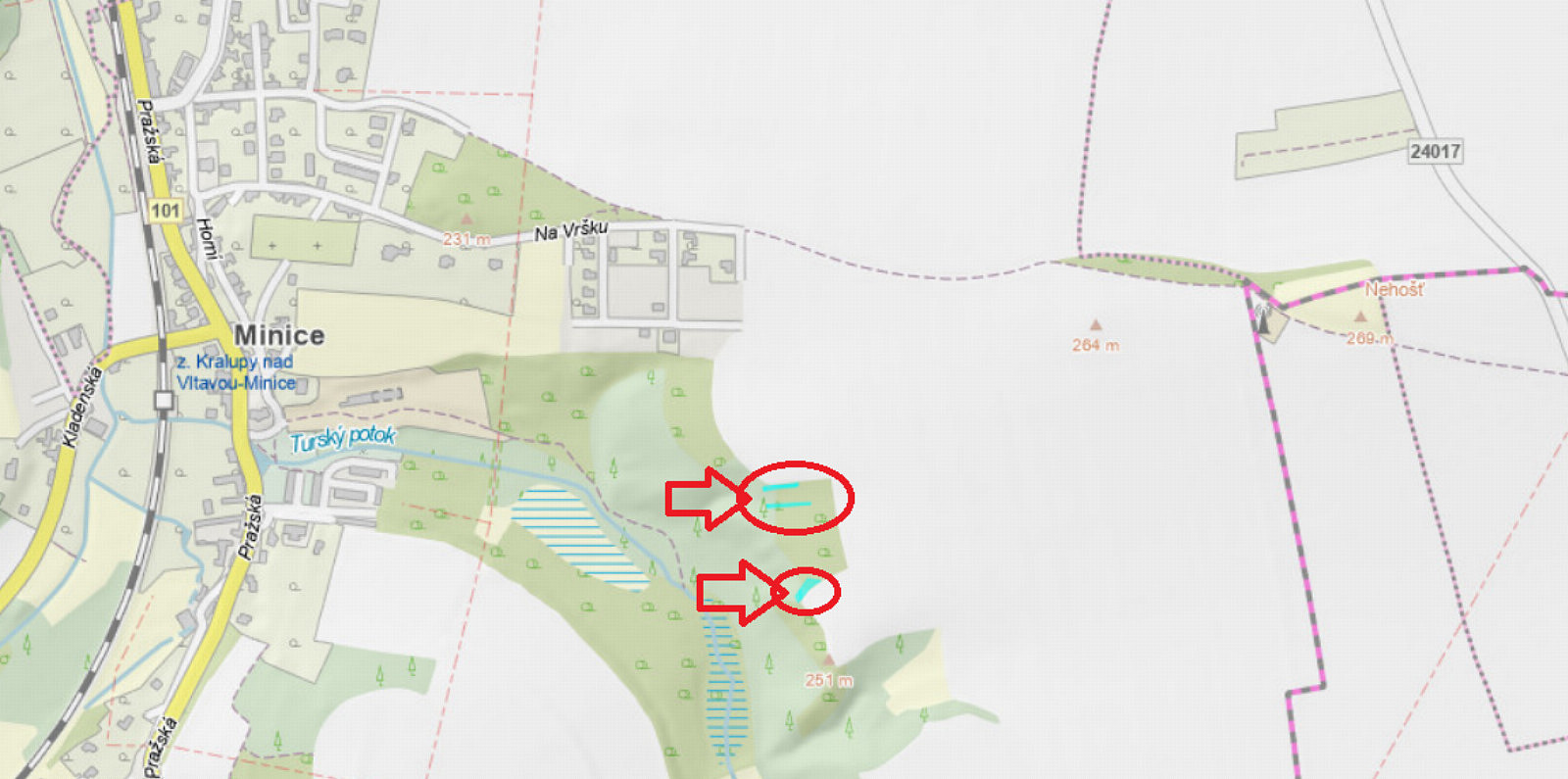 Prodej lesa 559 m²