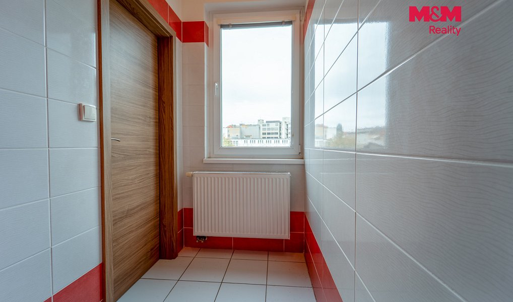 Pronájem bytu 1+1 65 m², Plzeň – náhled fotky 11