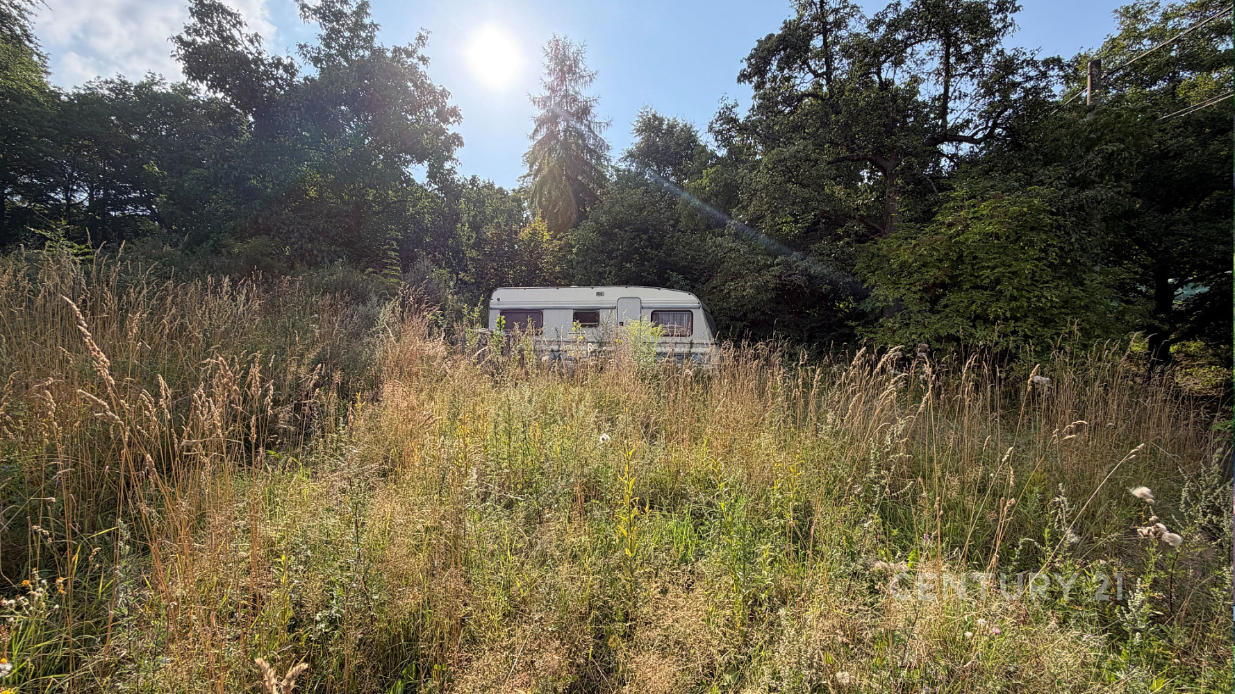 Fotka 11 z 12