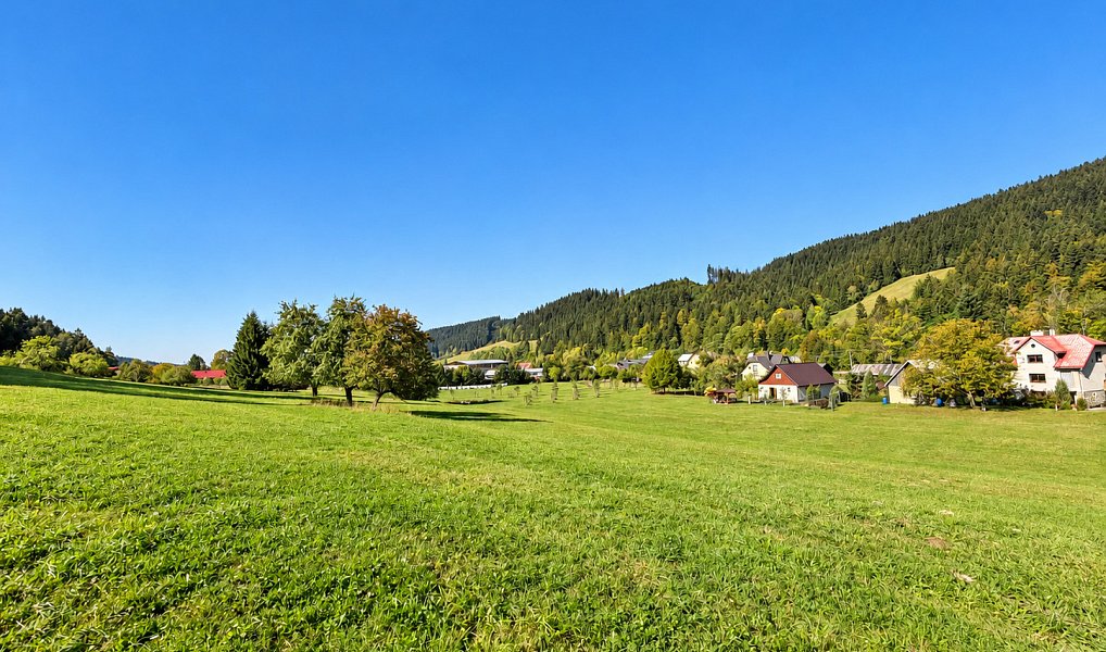 Prodej stavebního pozemku 3 256 m², Velké Karlovice – náhled fotky 9