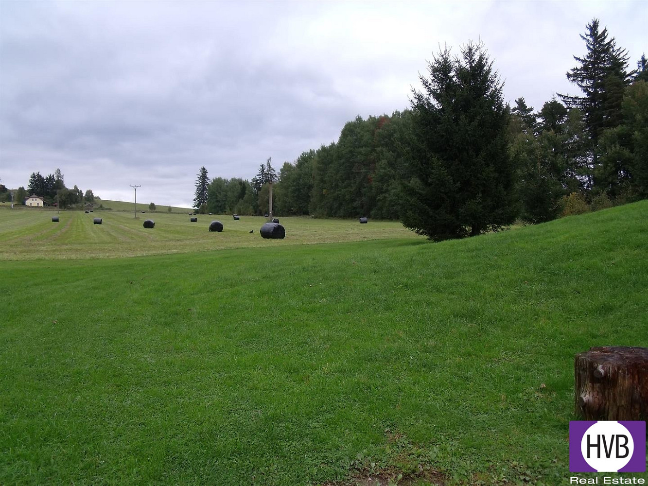 Prodej pozemku 3 860 m² – fotografie 4