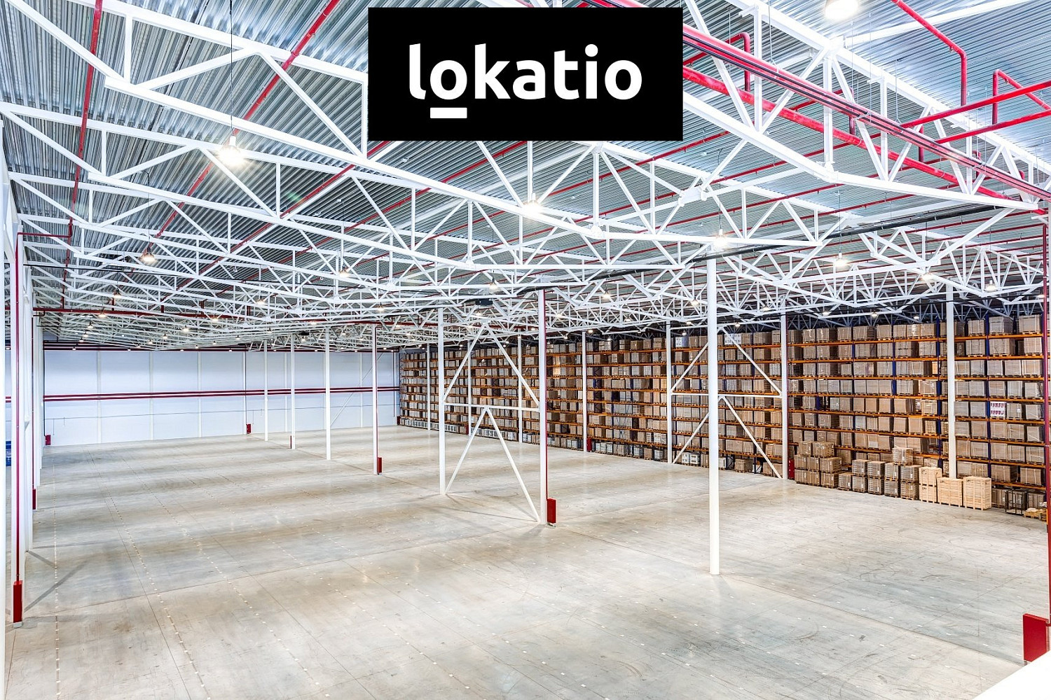 Pronájem skladovacích prostor 7 488 m² — photo 4