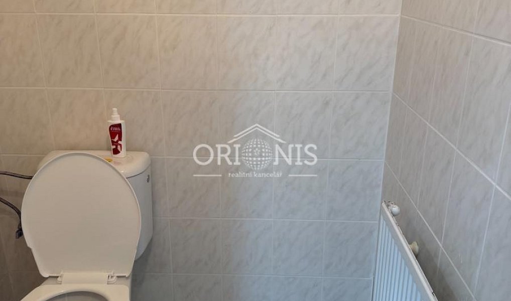 Pronájem obchodních prostor 100 m², Chomutov – náhled fotky 12