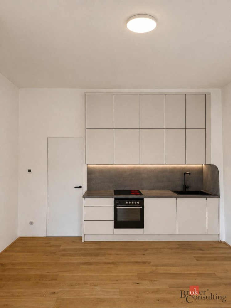 Pronájem bytu 1+kk 48 m² — photo 4