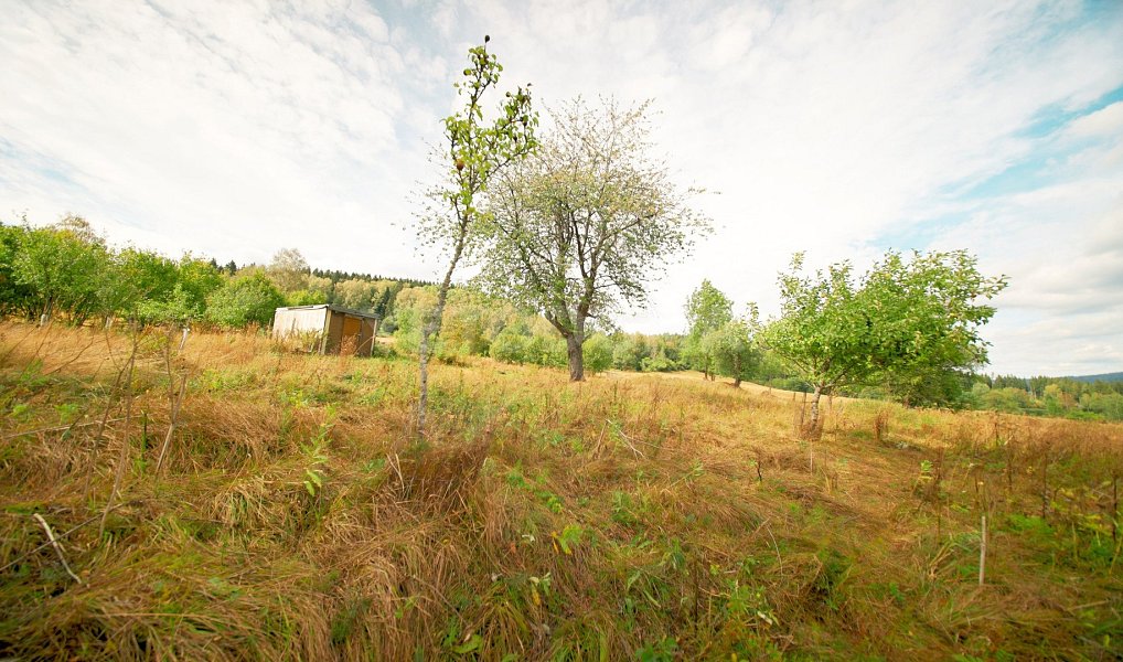 Prodej stavebního pozemku 2 451 m², Nová Pec – náhled fotky 18