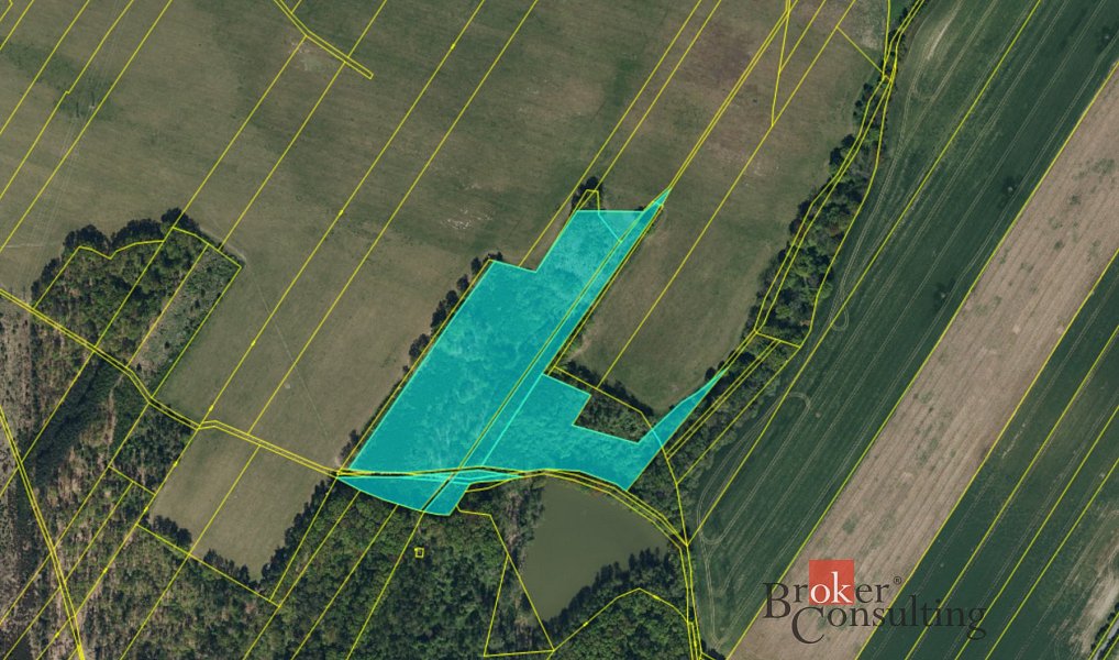 Prodej lesa 37 347 m², Pardubice – náhled fotky 4