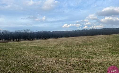 Prodej pole 13 030 m², Bělkovice-Lašťany, okres Olomouc