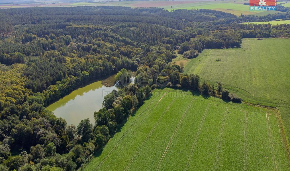 Prodej komerčního pozemku 65 824 m², Velké Heraltice – náhled fotky 12
