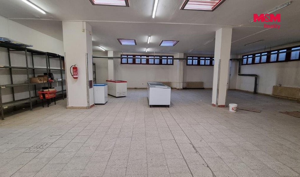 Pronájem obchodních prostor 739 m², Orlová – náhled fotky 4