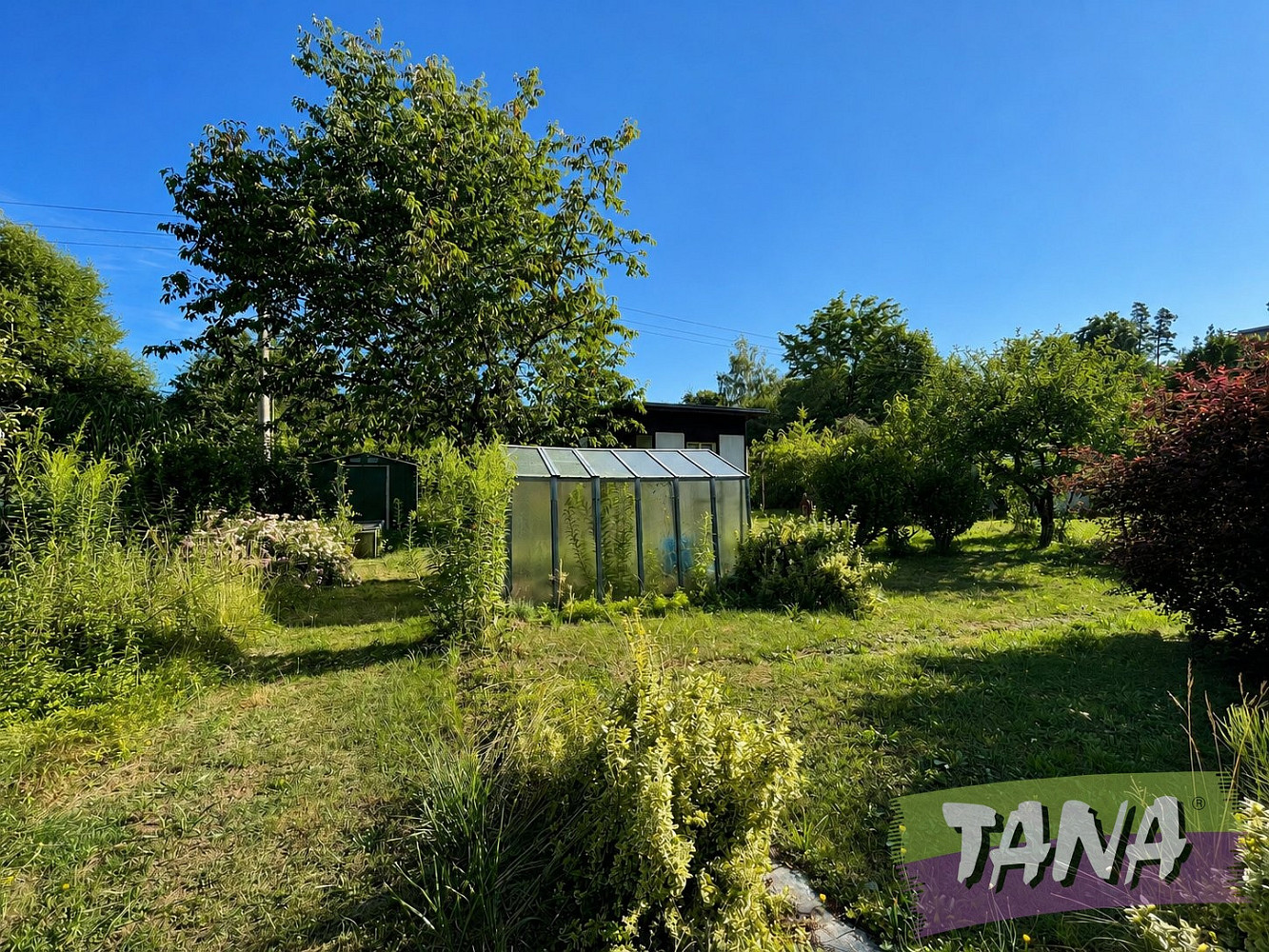 Prodej komerčního objektu (jiného typu) 13 m² – fotografie 5