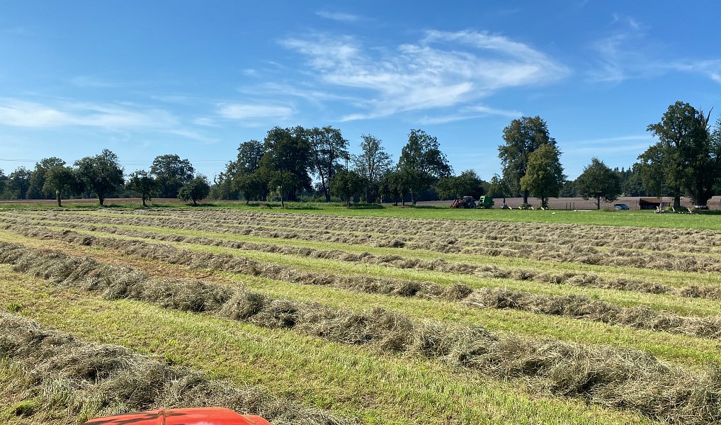 Prodej komerčního objektu (jiného typu) 28 792 m², Pluhův Žďár – náhled fotky 8