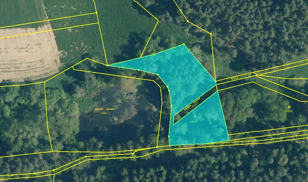 Prodej louky 2 963 m², Bor – fotka 1 z 4