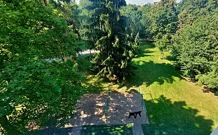 Pronájem bytu 2+1 56 m²