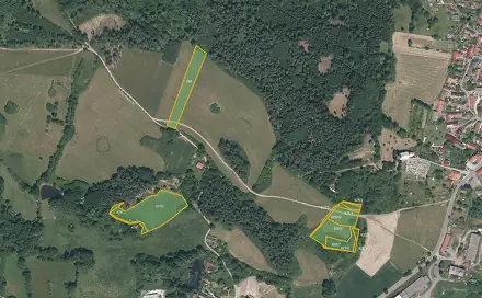 Prodej louky 13 638 m², Pačejov, okres Klatovy