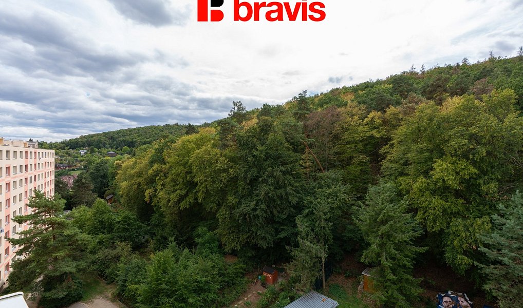 Pronájem bytu 2+1 58 m², Brno – náhled fotky 12