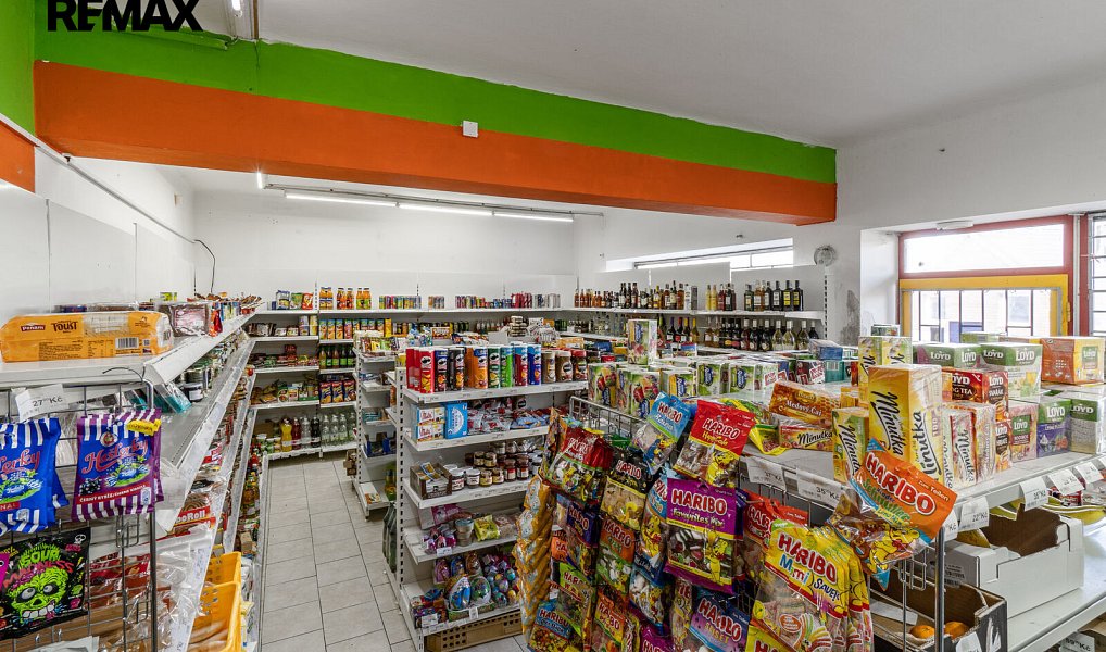 Prodej nájemního domu, činžáku 897 m², Bojanovice – náhled fotky 3