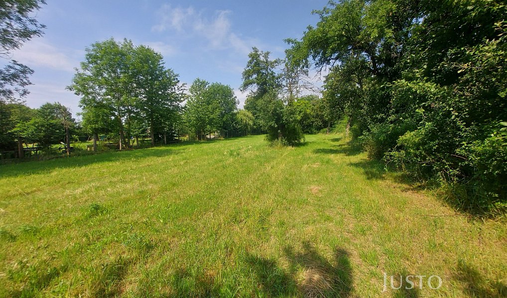 Prodej stavebního pozemku 2 918 m², Dražíč – náhled fotky 3