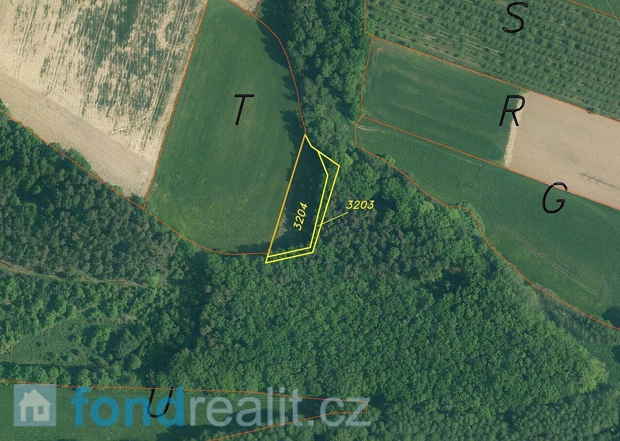 Prodej pole 5 875 m² – fotografie 5