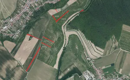 Prodej pole 19 471 m², Lovčice, okres Hodonín