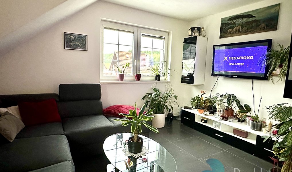 Pronájem domu 90 m² s pozemkem 473 m², Homole – náhled fotky 3