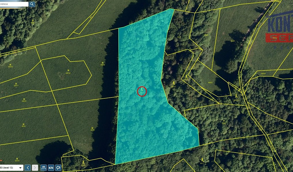 Prodej lesa 12 739 m², Životice u Nového Jičína – náhled fotky 2
