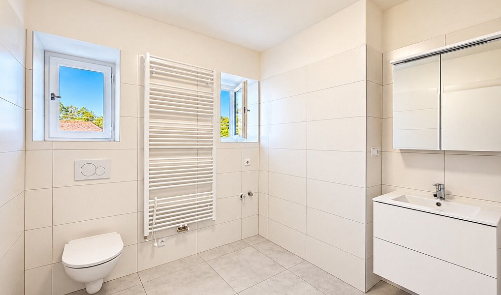 Prodej komerčního objektu (jiného typu) 218 m², Nečín – náhled fotky 7
