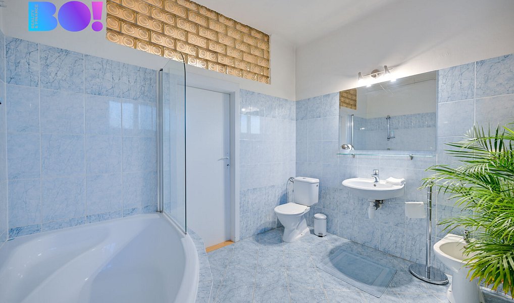 Prodej domu 597 m² s pozemkem 2 425 m², Brno – náhled fotky 16
