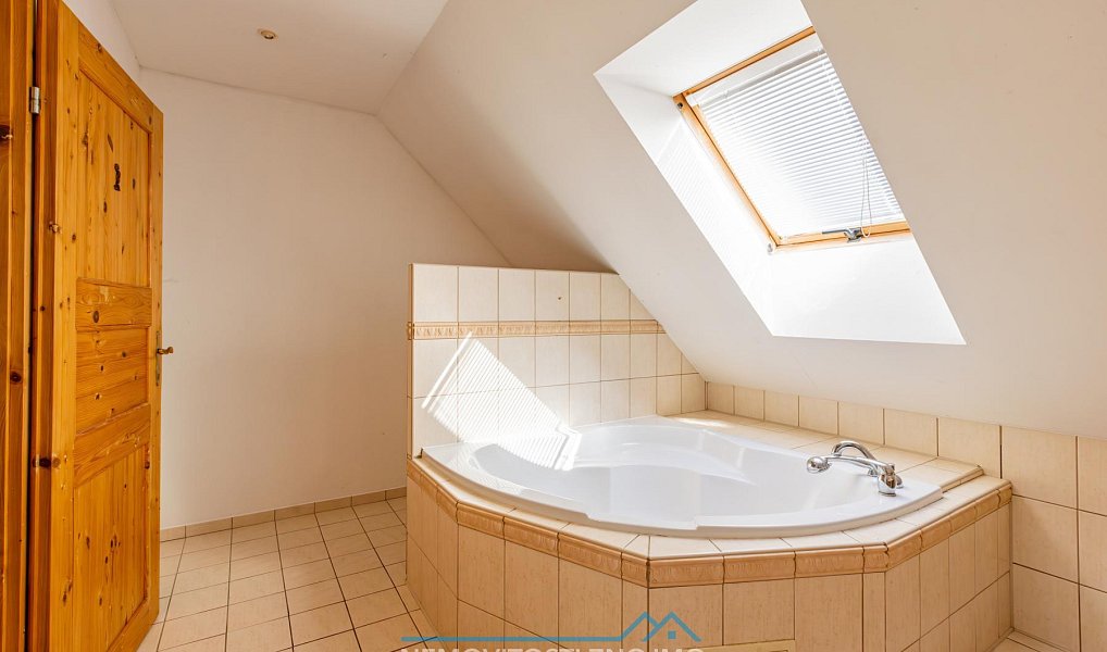 Prodej domu 350 m² s pozemkem 868 m², Jevišovice – náhled fotky 22
