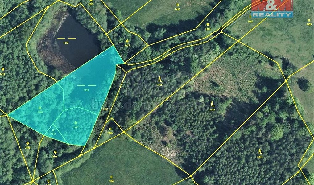 Prodej louky 3 789 m², Dolní Brusnice – náhled fotky 4