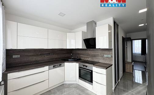 Pronájem bytu 2+1 47 m², Mánesova, České Budějovice - České Budějovice 7