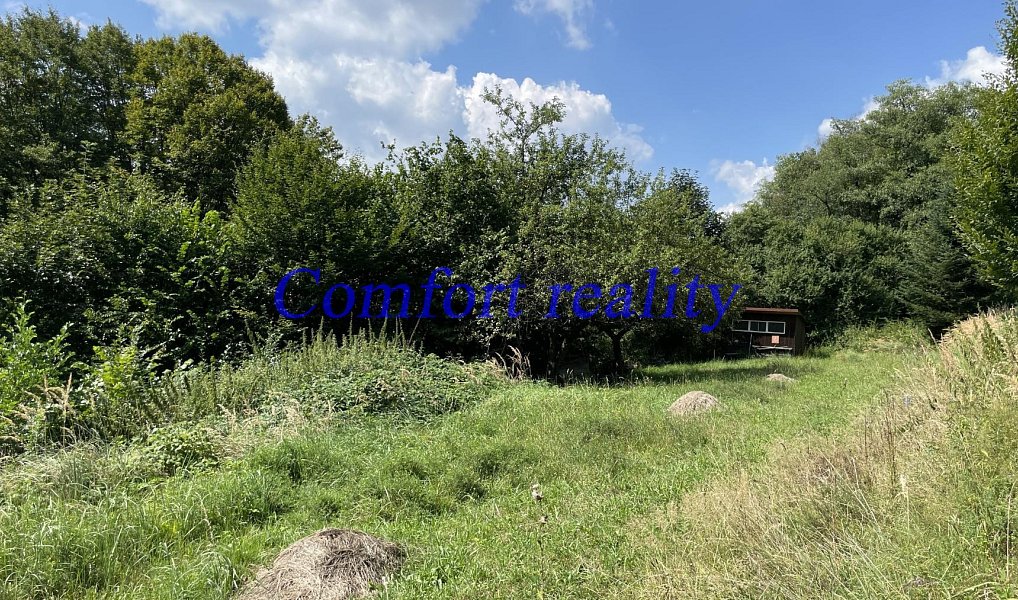 Prodej zahrady 2 405 m², Horní Lhota – náhled fotky 5