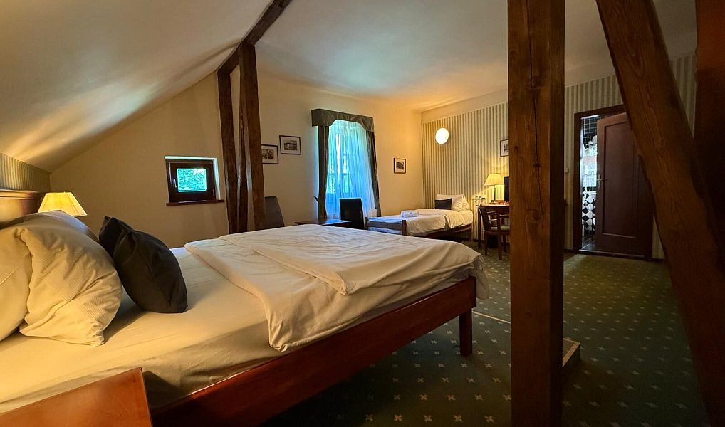 Pronájem domu 160 m² s pozemkem 378 m², Zádub-Závišín – náhled fotky 4