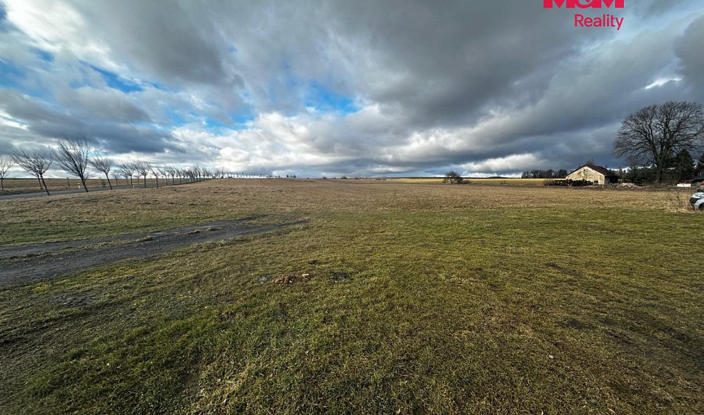 Prodej stavebního pozemku 4 806 m², Větřkovice – náhled fotky 13