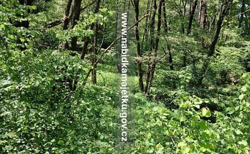 Prodej pozemku 4 658 m², Netřebice, okres Český Krumlov