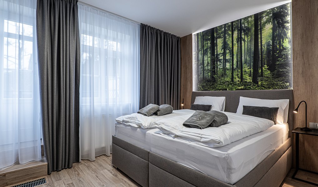Prodej bytu 2+kk 65 m², Karlova Studánka – náhled fotky 23