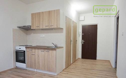 Pronájem bytu 1+1 38 m², Šumavská, Větřní, okres Český Krumlov
