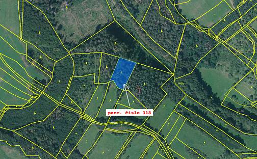 Prodej lesa 14 353 m², Tišnov - Jamné, okres Brno-venkov