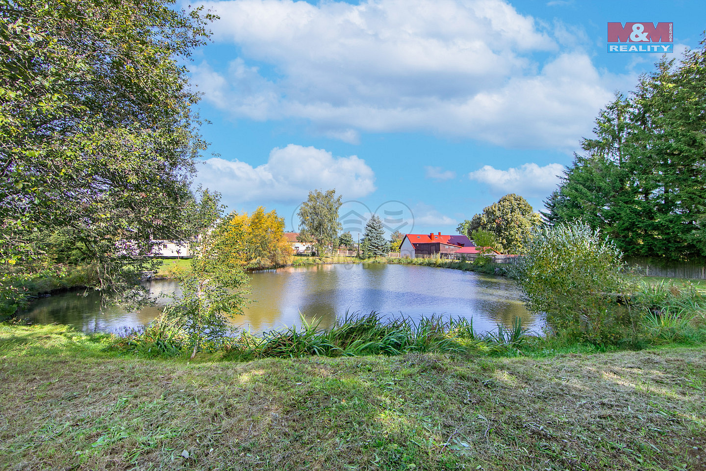 Prodej louky 1 769 m² — photo 4