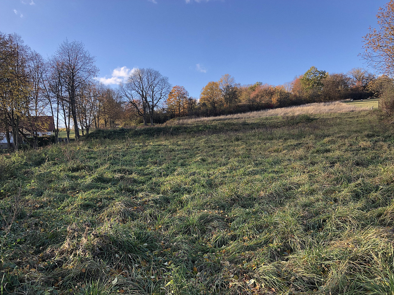 Prodej stavebního pozemku 1 445 m², Krňany