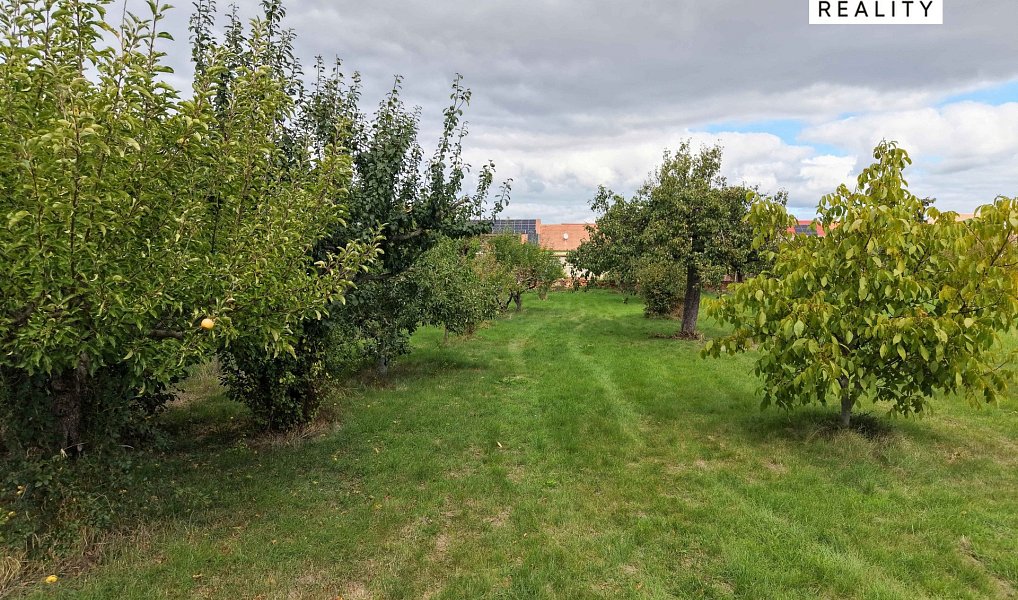 Prodej domu 250 m² s pozemkem 1 700 m², Višňové – náhled fotky 15