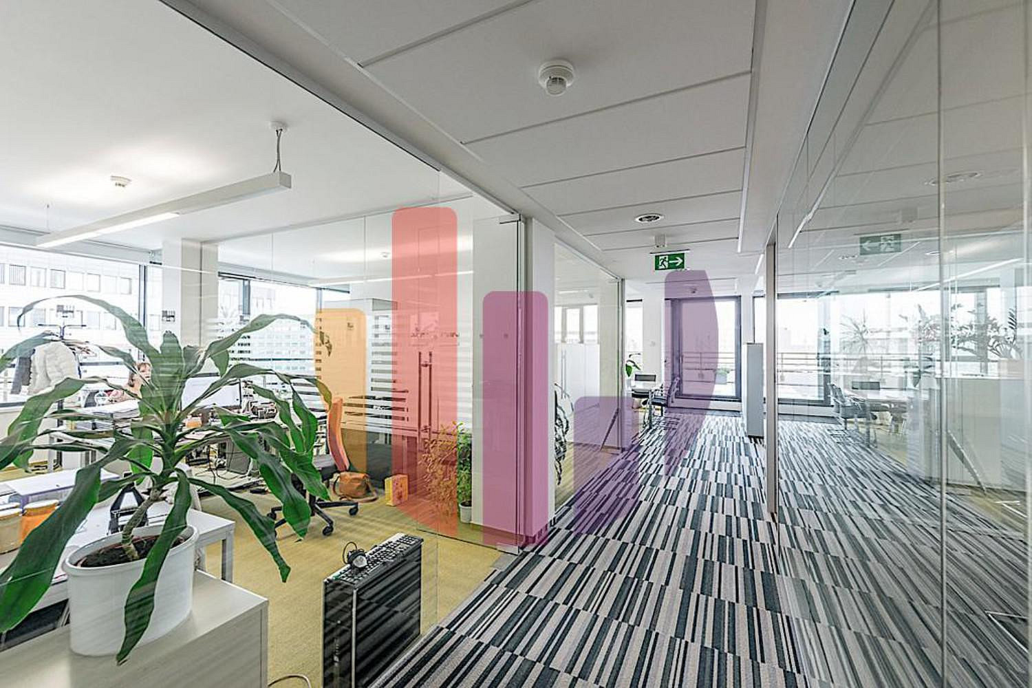 Pronájem kanceláře 356 m² — photo 3