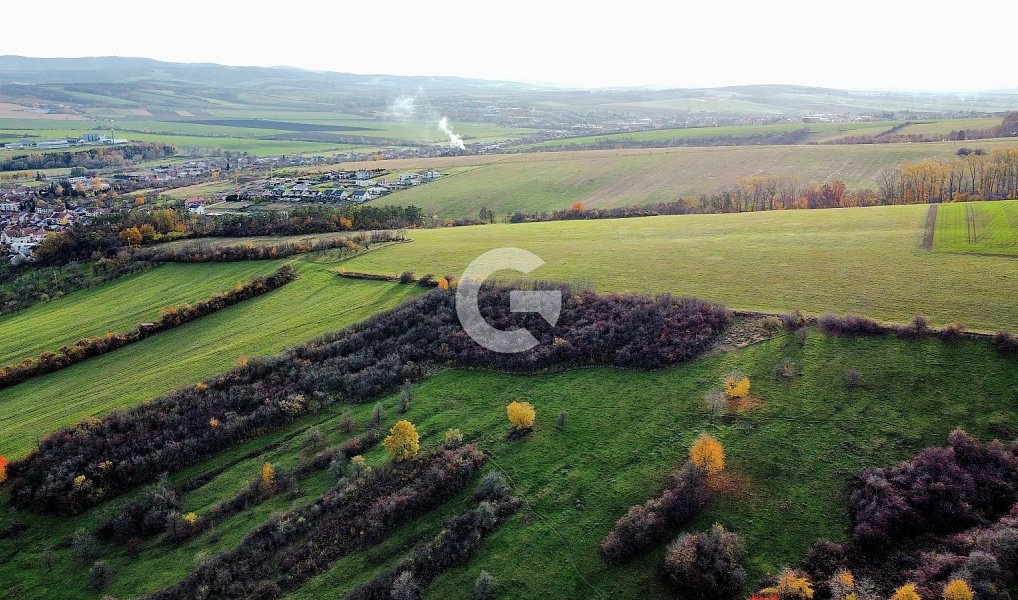 Prodej zahrady 1 891 m², Újezdec – náhled fotky 4
