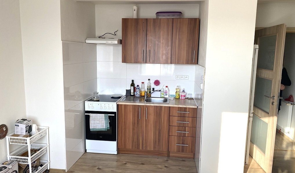 Prodej bytu 2+kk 42 m², Bzová – náhled fotky 2