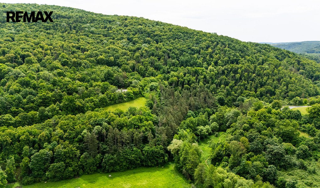 Prodej stavebního pozemku 2 004 m², Beroun – náhled fotky 23