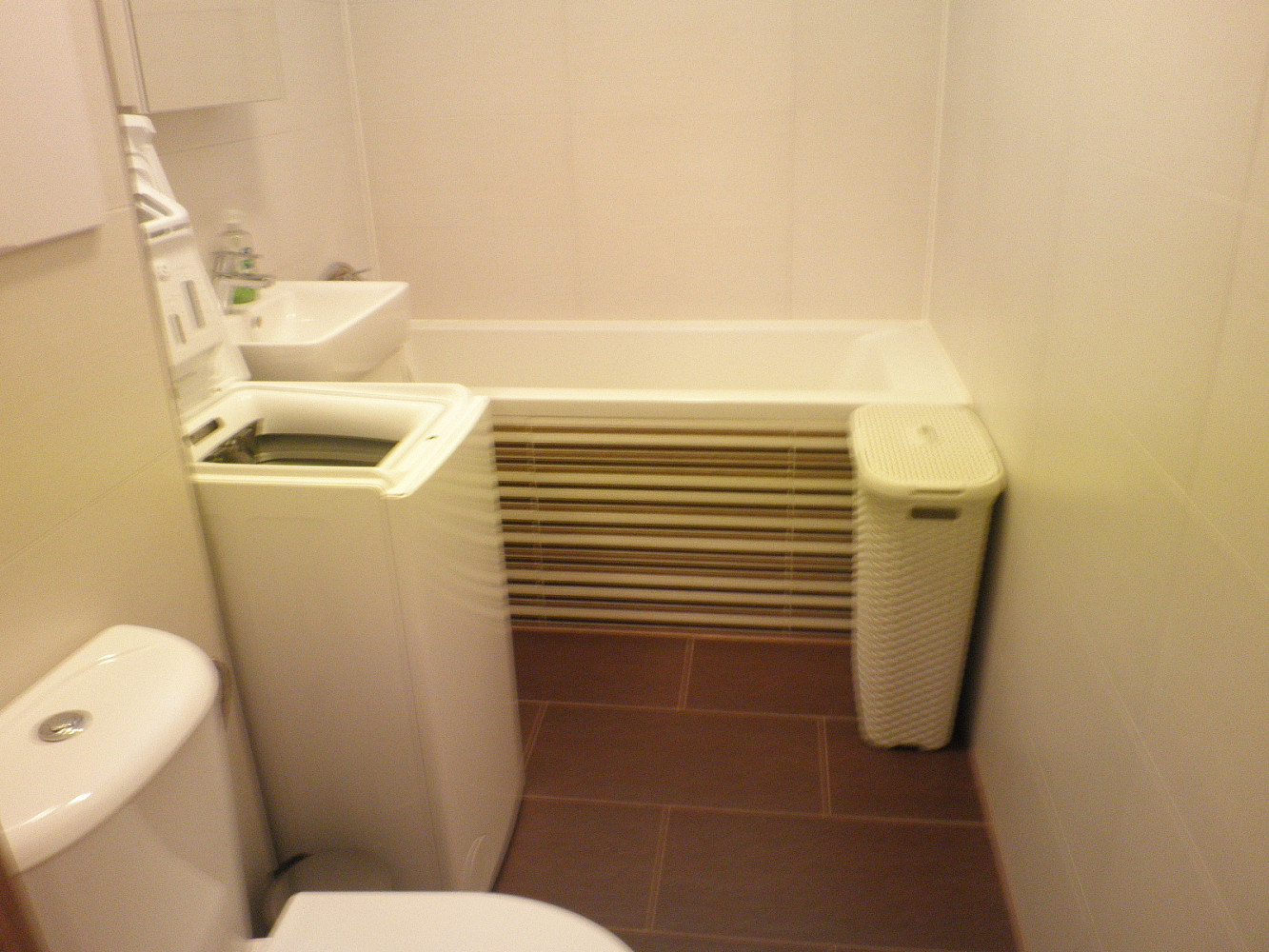 1+1 Apartment in Brno, Bystrc – další